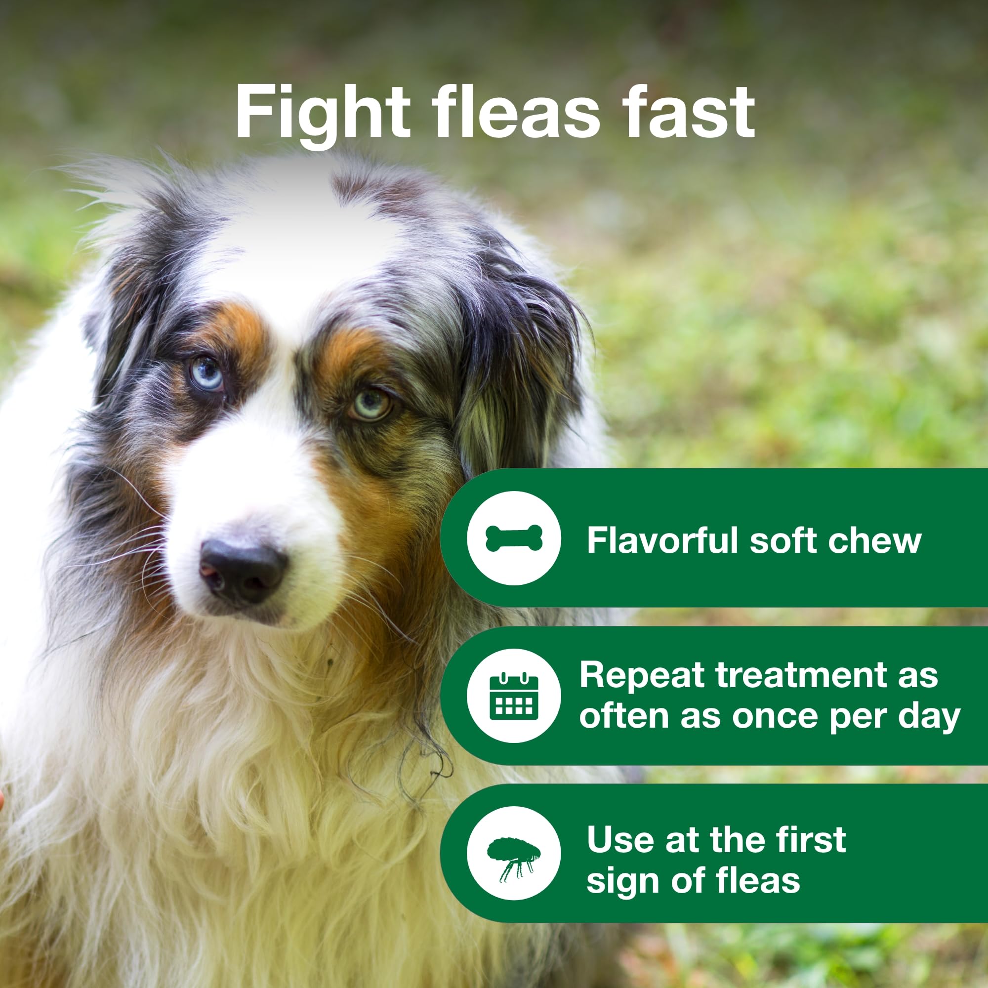 Advantus packaging box signals prescription-free flea treatment option.