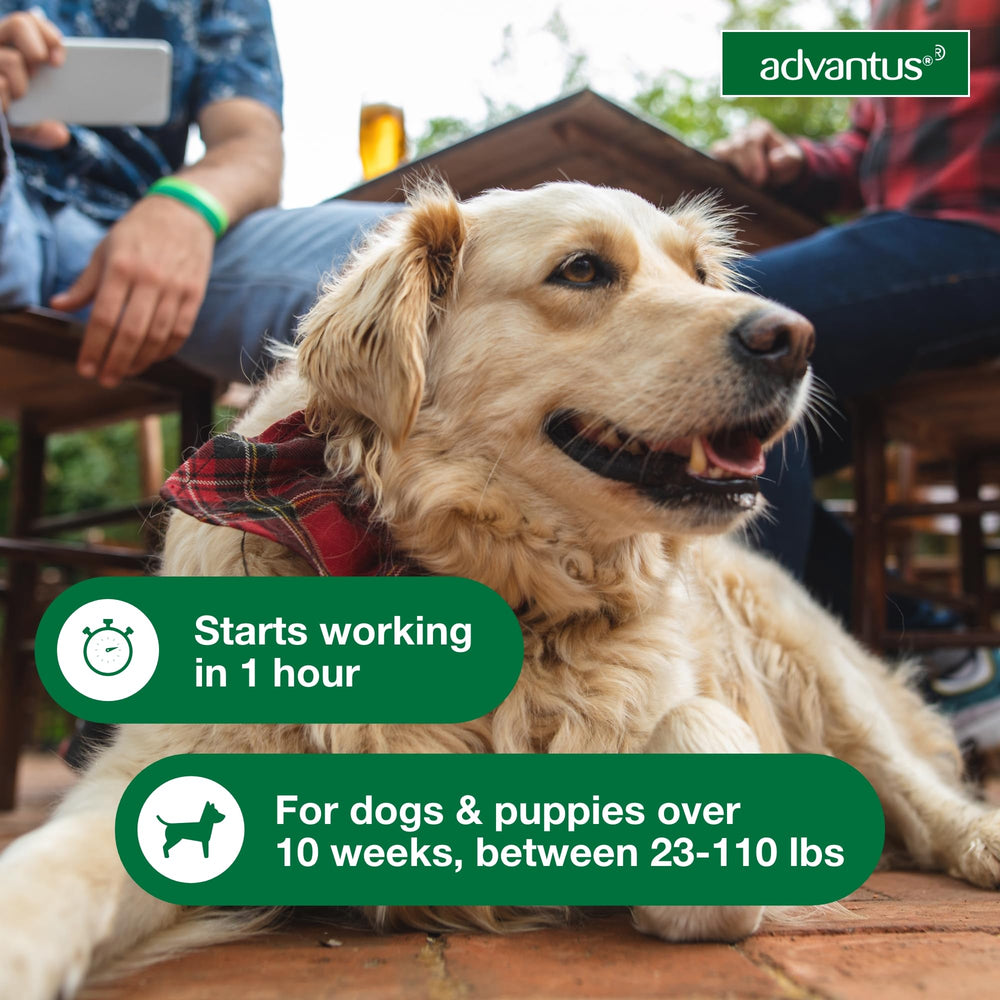 Advantus label indicates suitable for dogs 23 to 110 pounds.