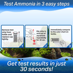 Advatec ammonia test strip color chart shown for fast, accurate result interpretation.