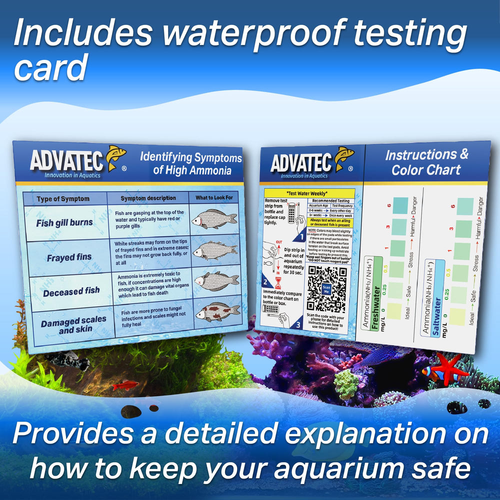 Advatec ammonia test strip dip into water for quick freshwater and saltwater monitoring.