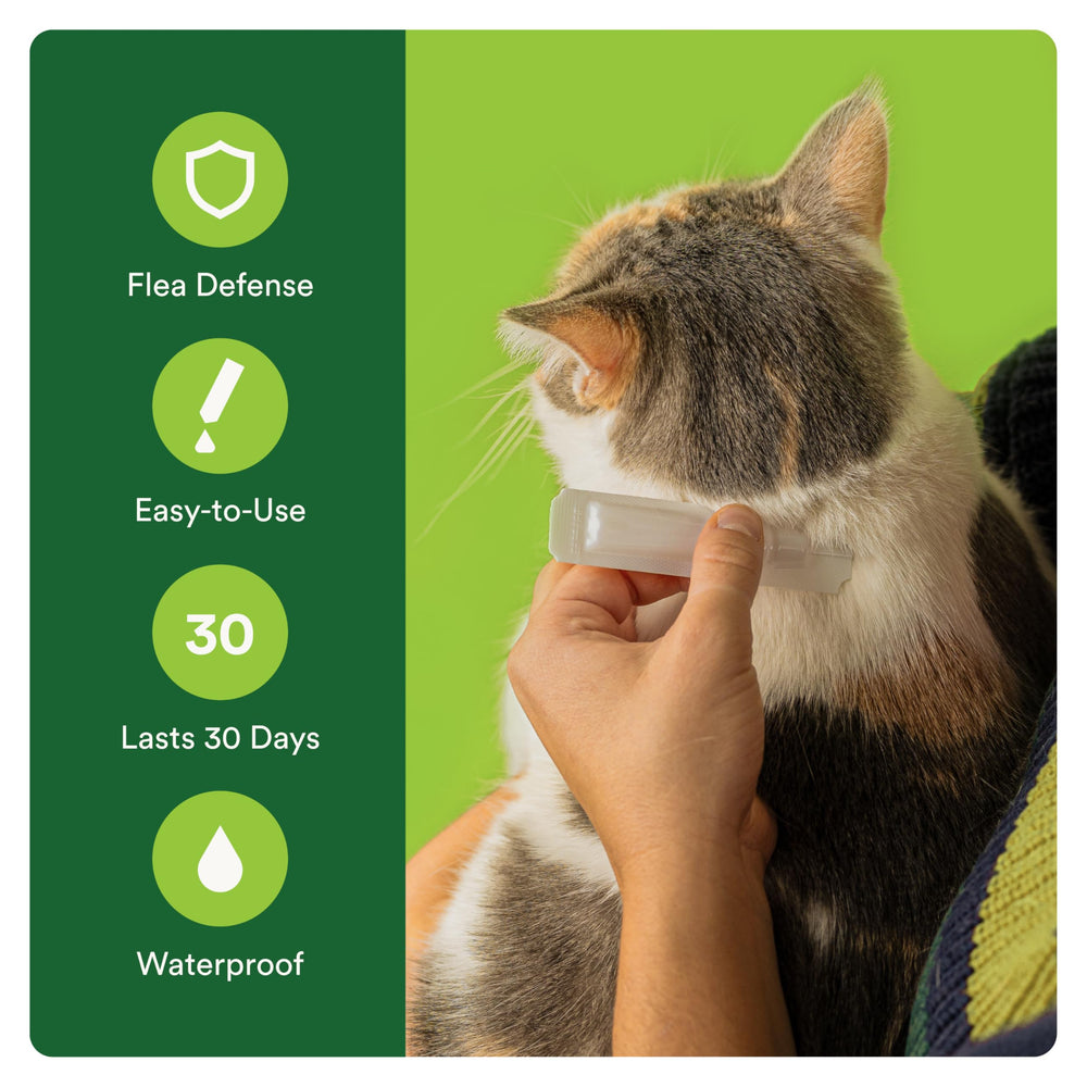 Advecta Plus four-month supply box emphasizes long-term flea protection.