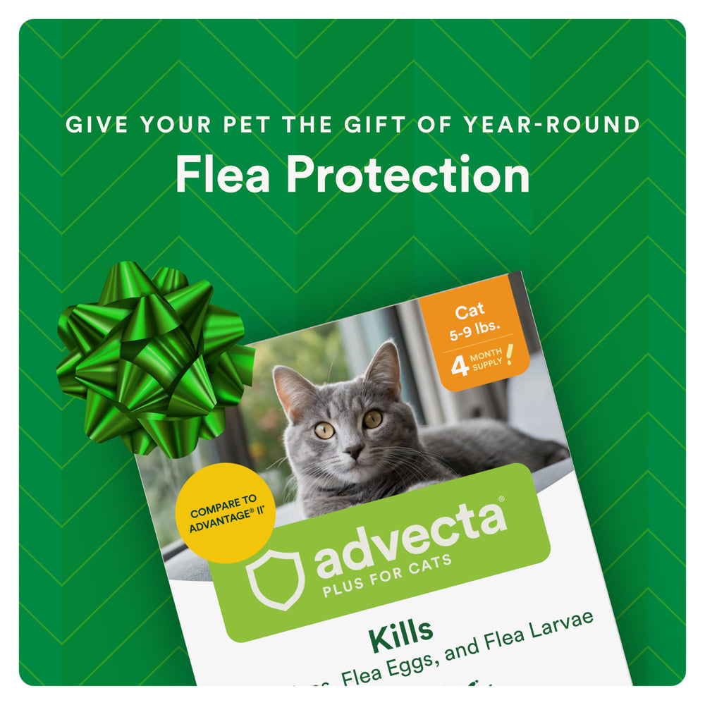 Advecta Plus drops applied to cat skin for monthly protection