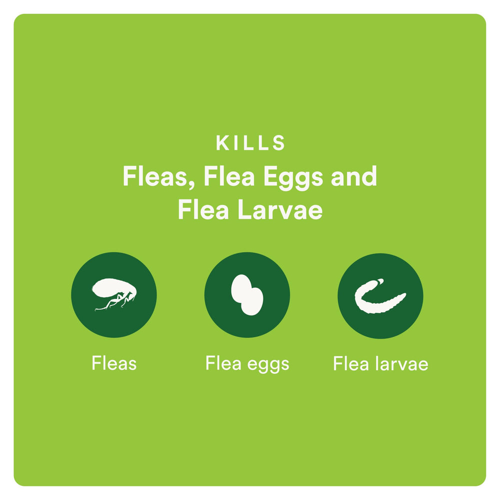 Advecta Plus label notes suitability for kittens 8 weeks and older.