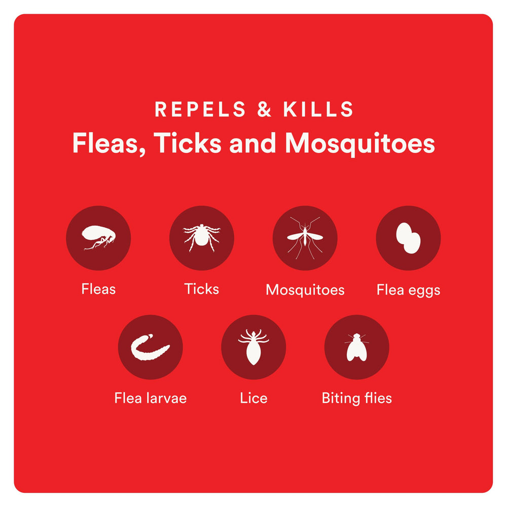 Advecta Ultra breaks the flea life cycle by targeting eggs and larvae
