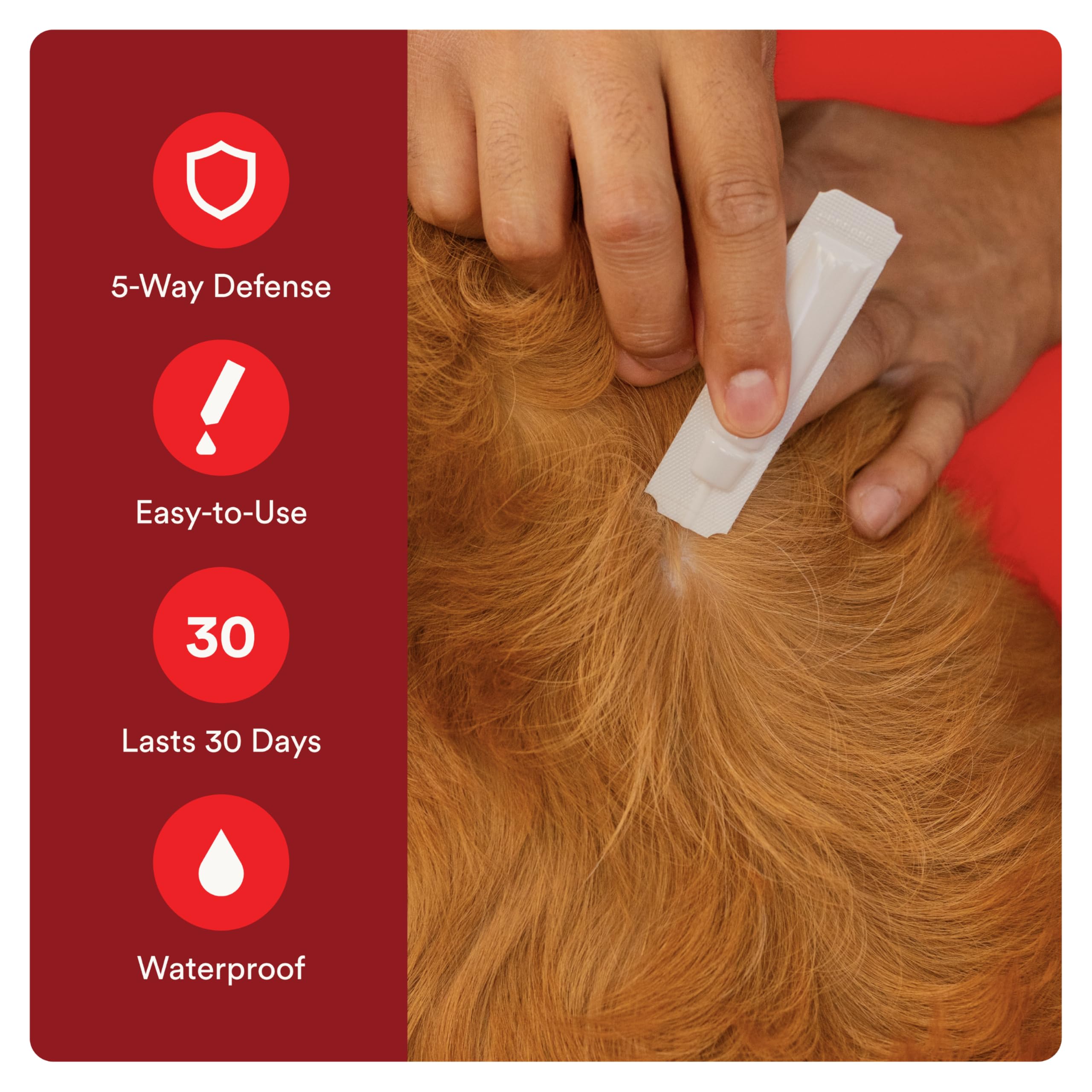 Advecta Ultra provides flea, tick, and mosquito protection for outdoor use