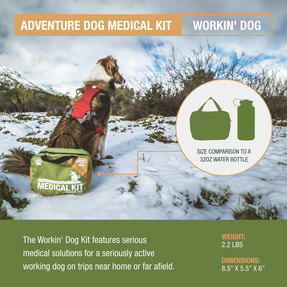 Adventure Medical Kits Workin' Dog Kit bandages support self-adhering wound care