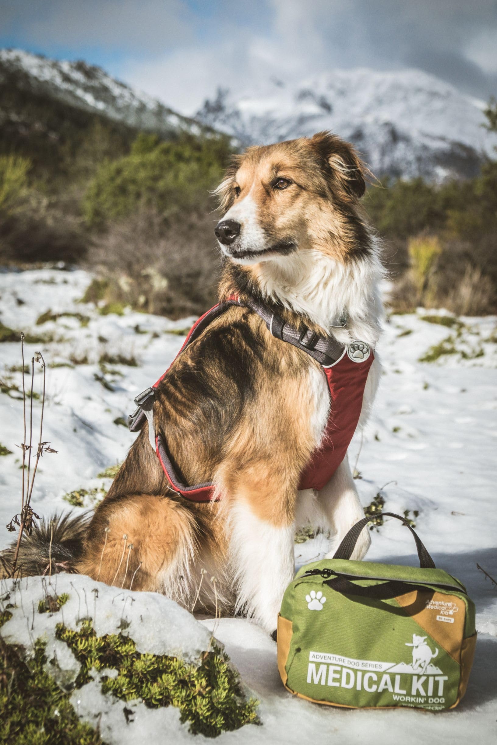 Adventure Medical Kits Workin' Dog Kit under-seat storage ready for adventures
