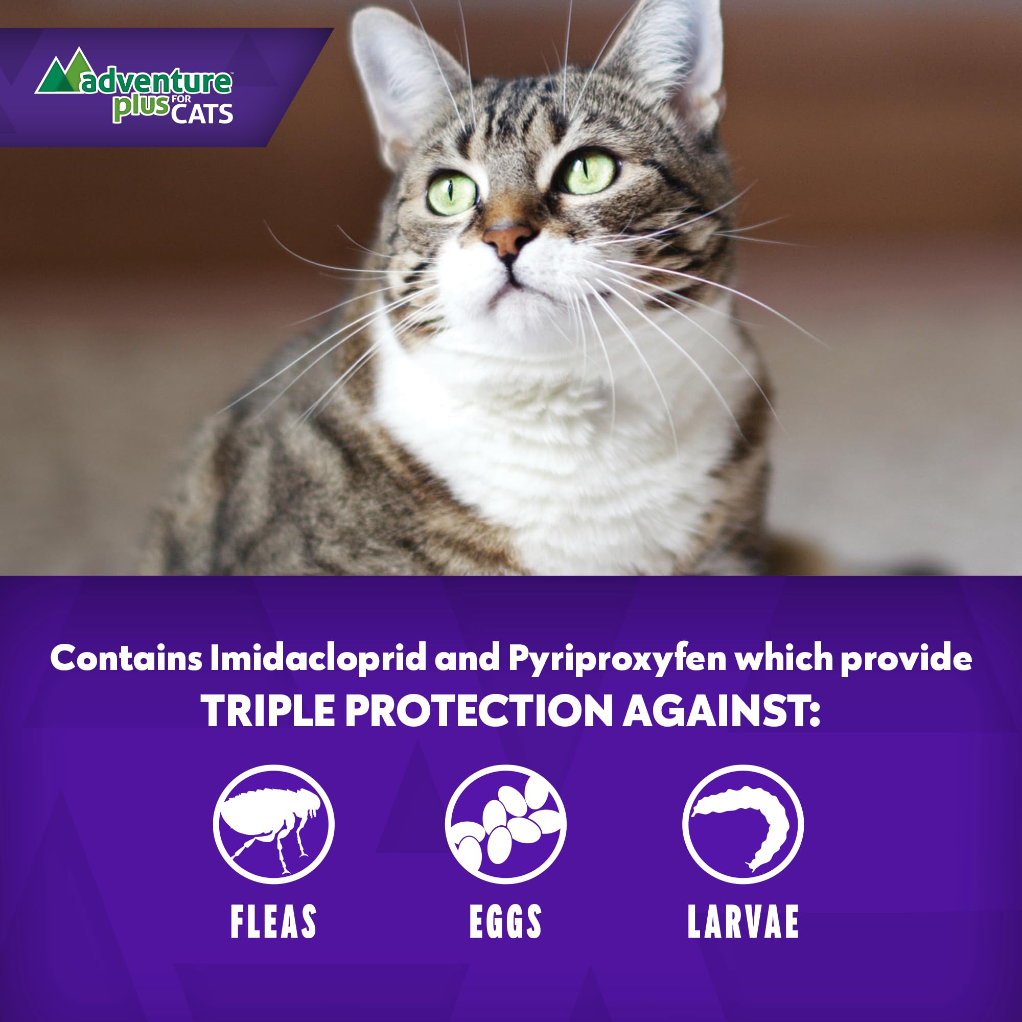 Adventure Plus large-cat dose 9lbs and up suitable for bigger cats