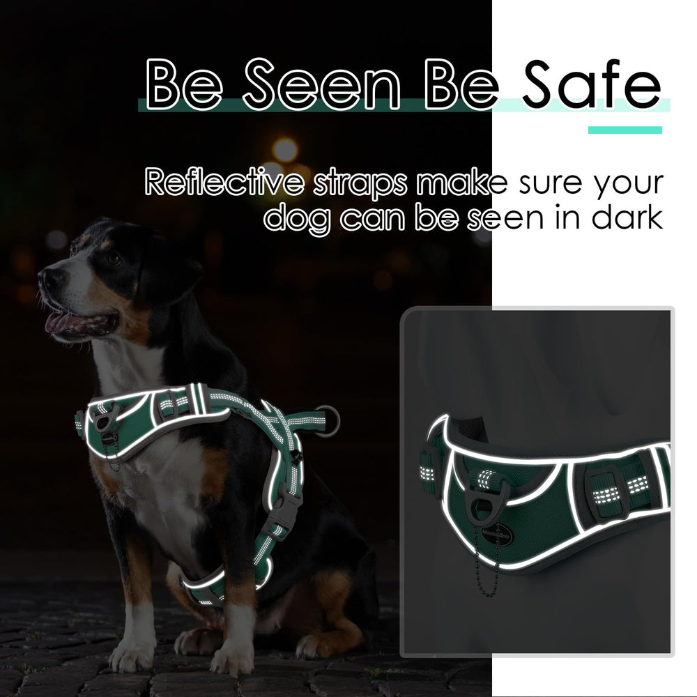 ADVENTUREMORE breathable-nylon-teal harness ensures comfort on long hikes.