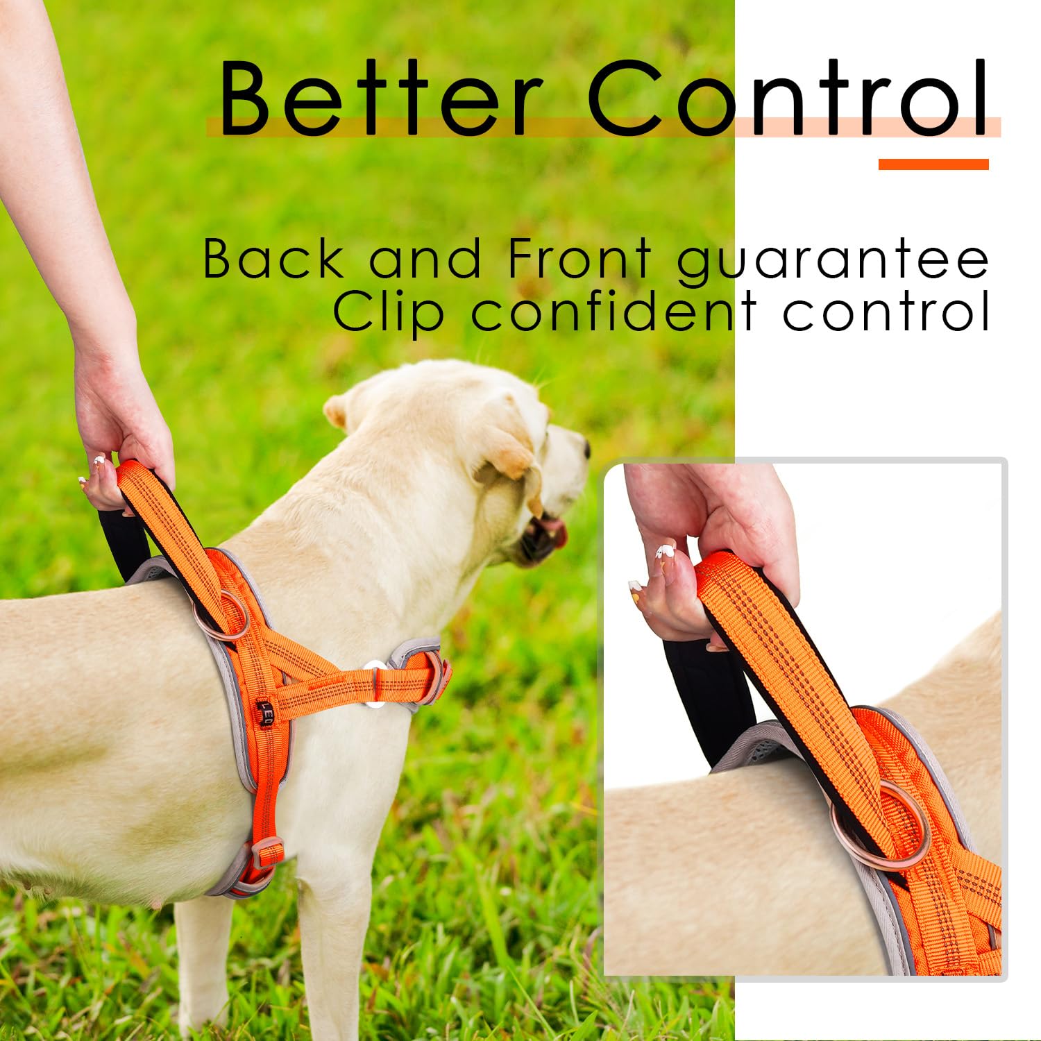ADVENTUREMORE dog harness in-use walking setup orange supports comfortable, secure training sessions.