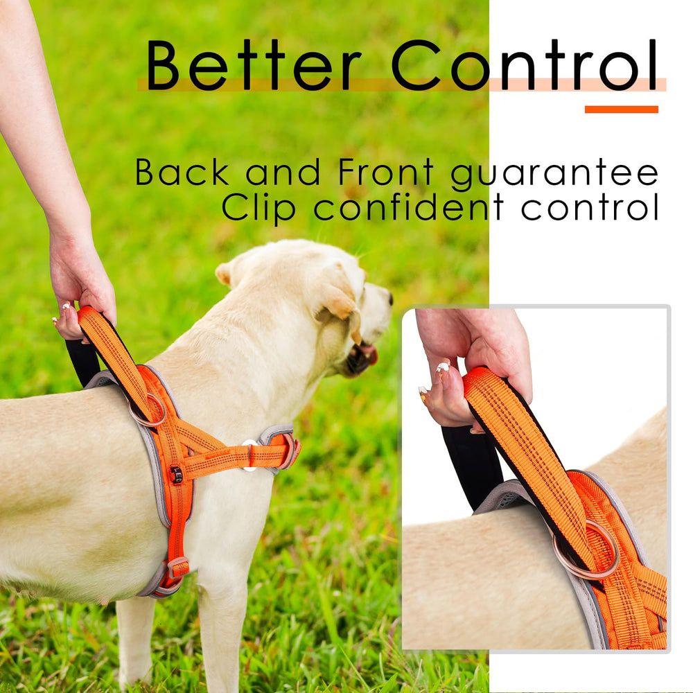 ADVENTUREMORE dog harness in-use walking setup orange supports comfortable, secure training sessions.
