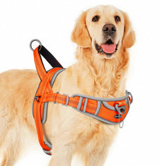 ADVENTUREMORE dog harness large no-pull front clip orange for easier control during walks.