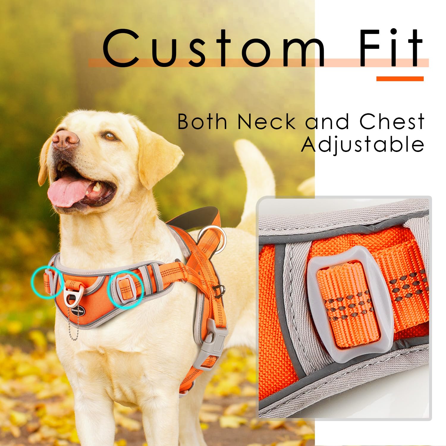 ADVENTUREMORE dog harness top handle control orange for quick training assistance.