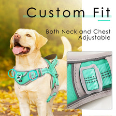 ADVENTUREMORE front-clip-handle teal harness enables easy control during training.