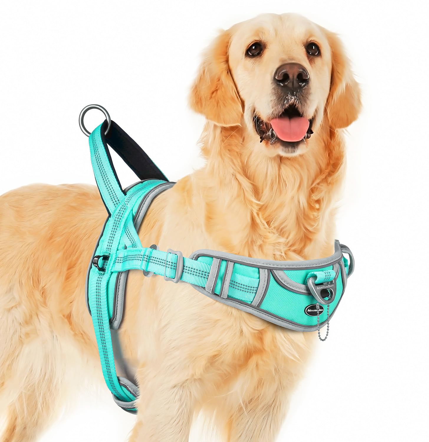 ADVENTUREMORE no-pull harness teal front view for easy daily-walk control.
