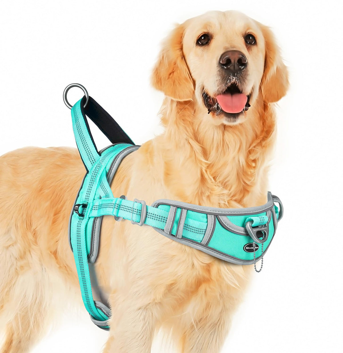 ADVENTUREMORE no-pull harness teal front view for easy daily-walk control.