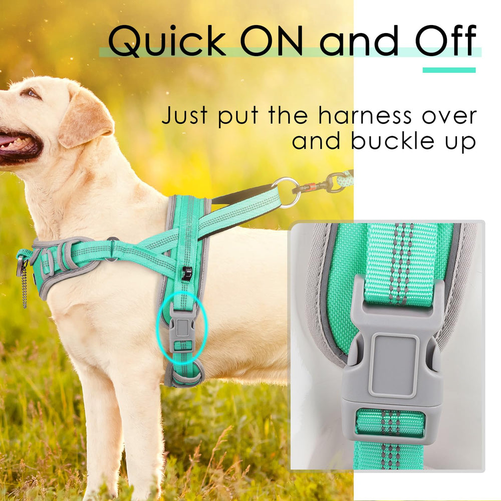 ADVENTUREMORE reflective-teal harness night-visibility improves safety during dusk walks.