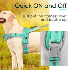 ADVENTUREMORE reflective-teal harness night-visibility improves safety during dusk walks.