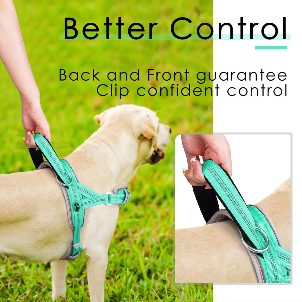 ADVENTUREMORE-xl-teal-dog-harness supports large breeds during training and walking.