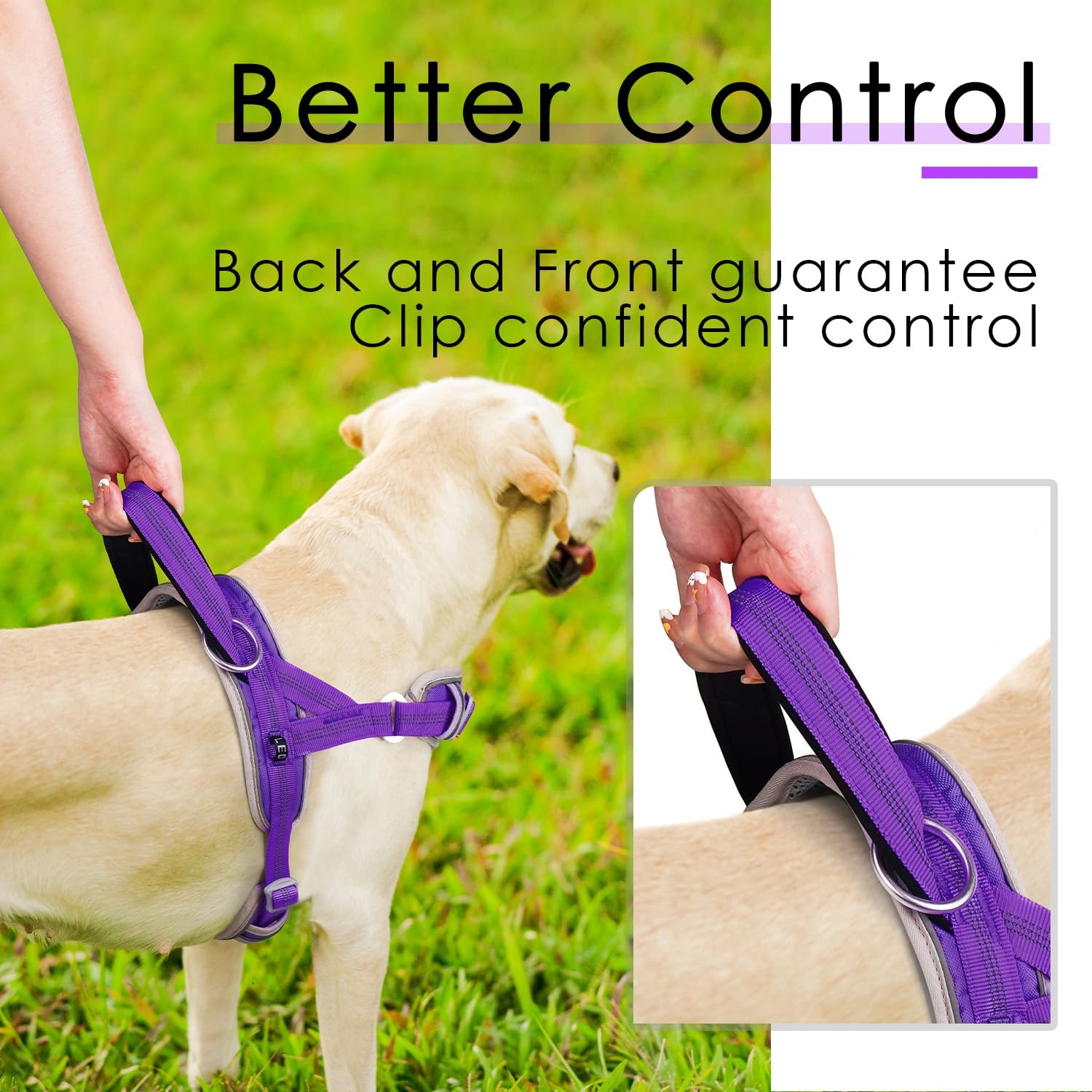 AdventureMore XXL dog harness large-breed comfort with breathable padding.