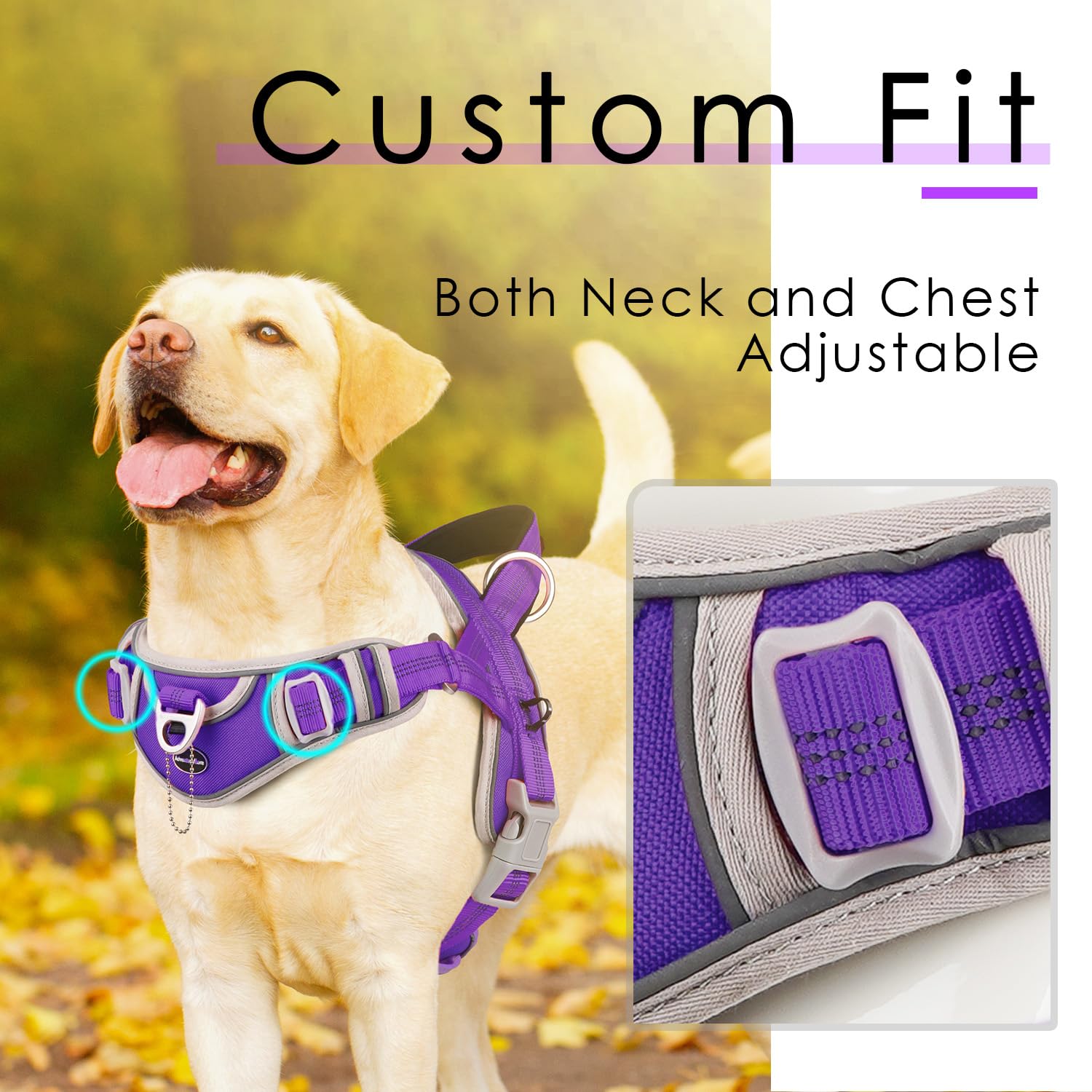 AdventureMore XXL dog harness overhead design for quick on-off use.