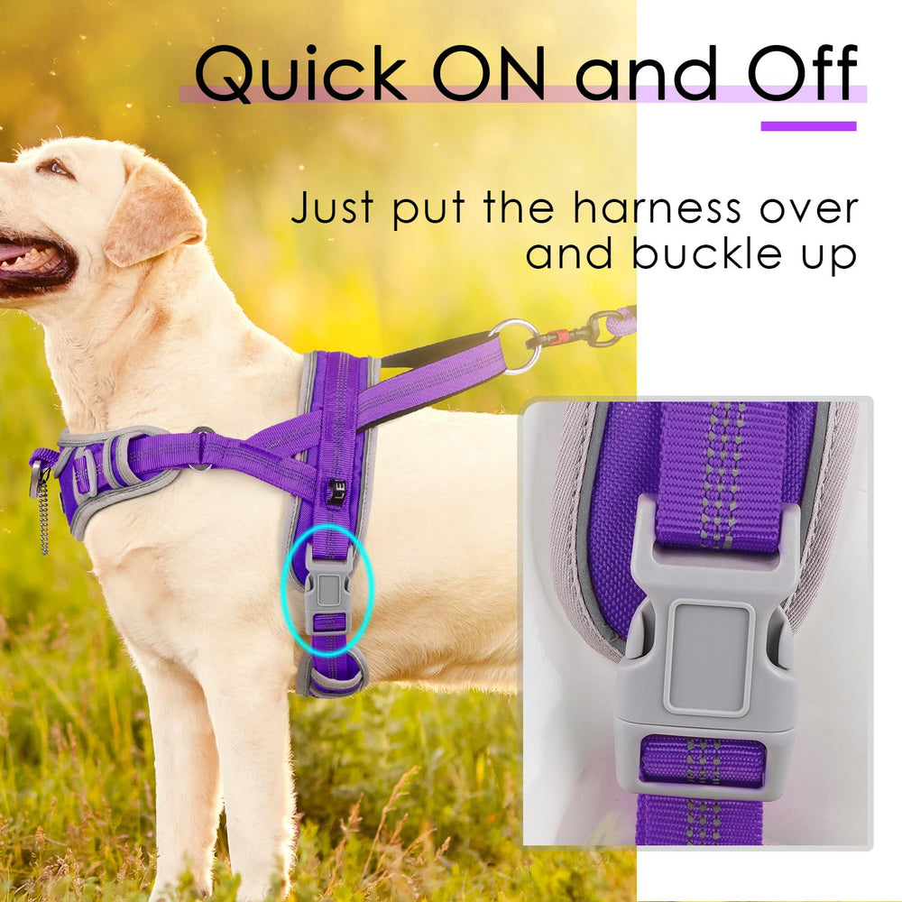 AdventureMore XXL dog harness top handle provides precise training control.