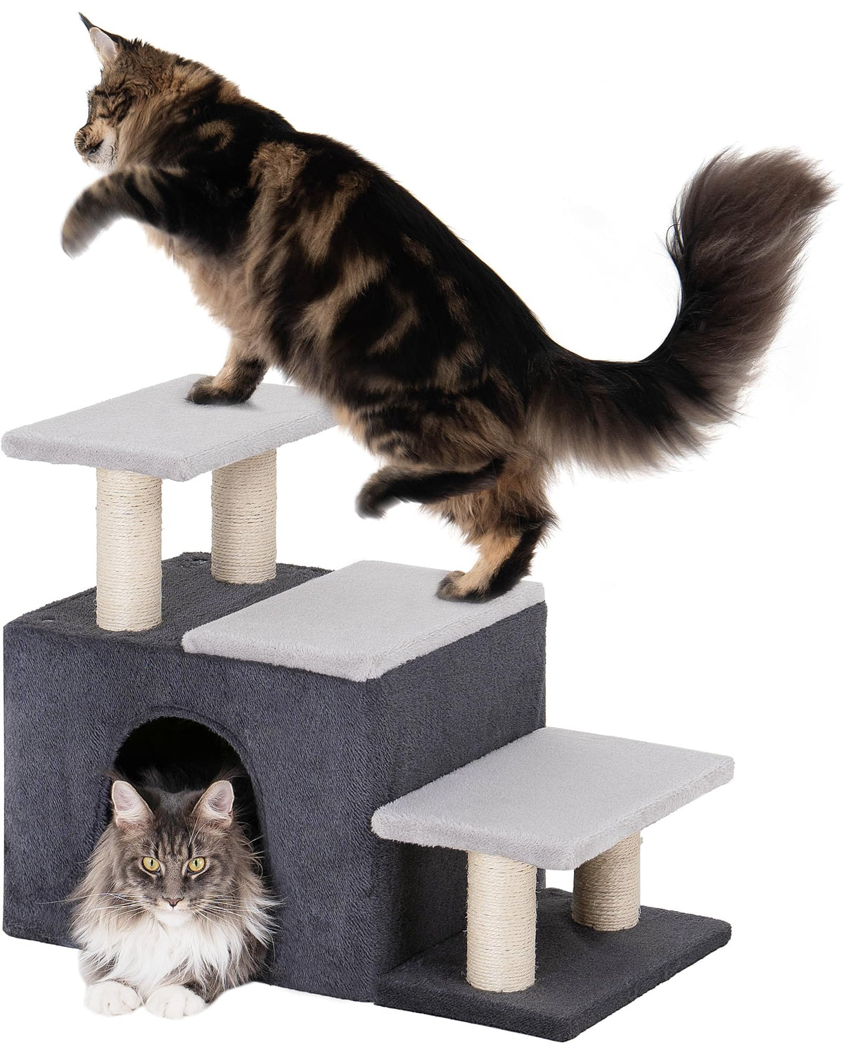 Aechonow 3-in-1 pet stairs with cat condo enables easy high bed access for cats.