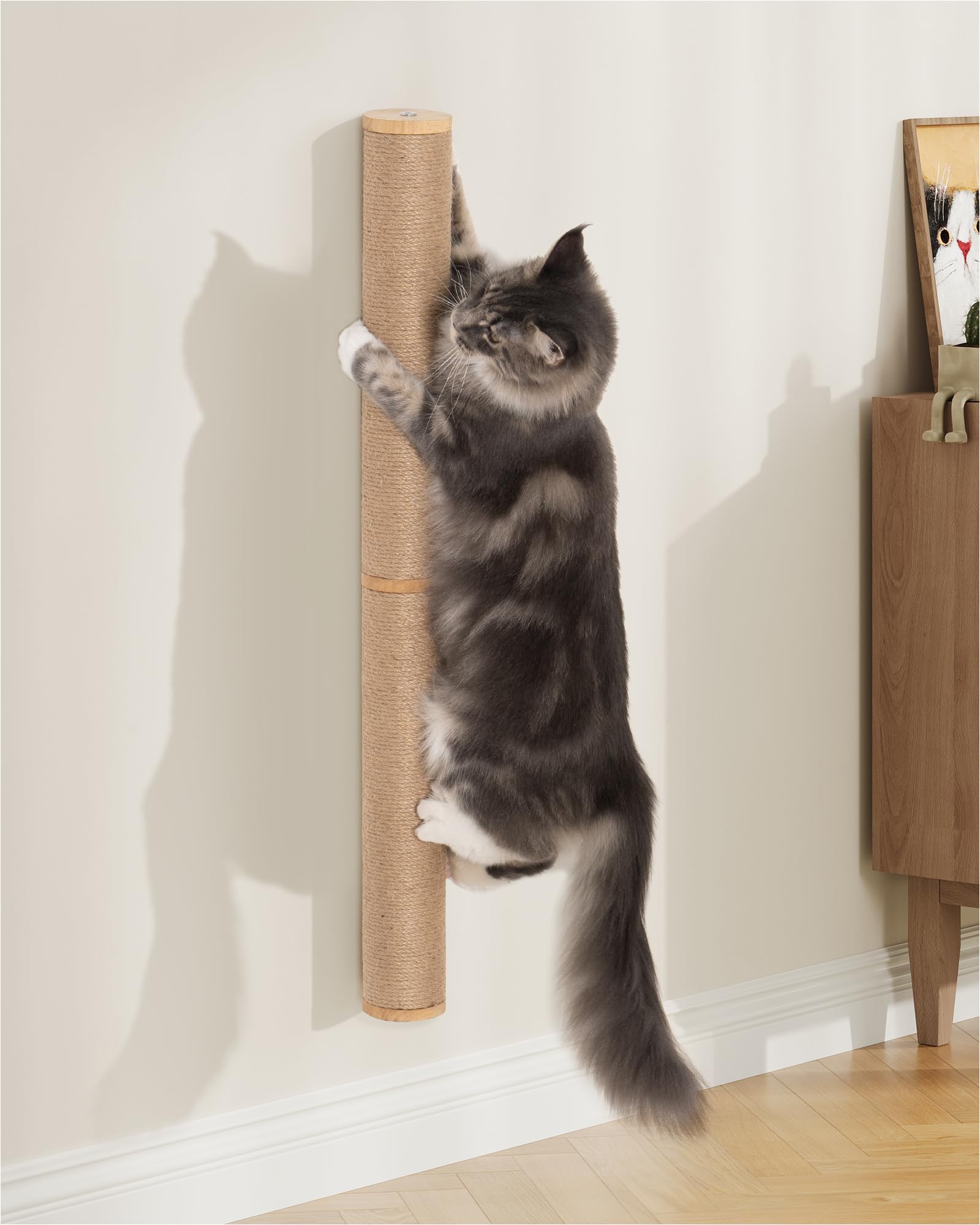 Aechonow 34-inch wall-mounted cat scratcher saves space for indoor cat areas.