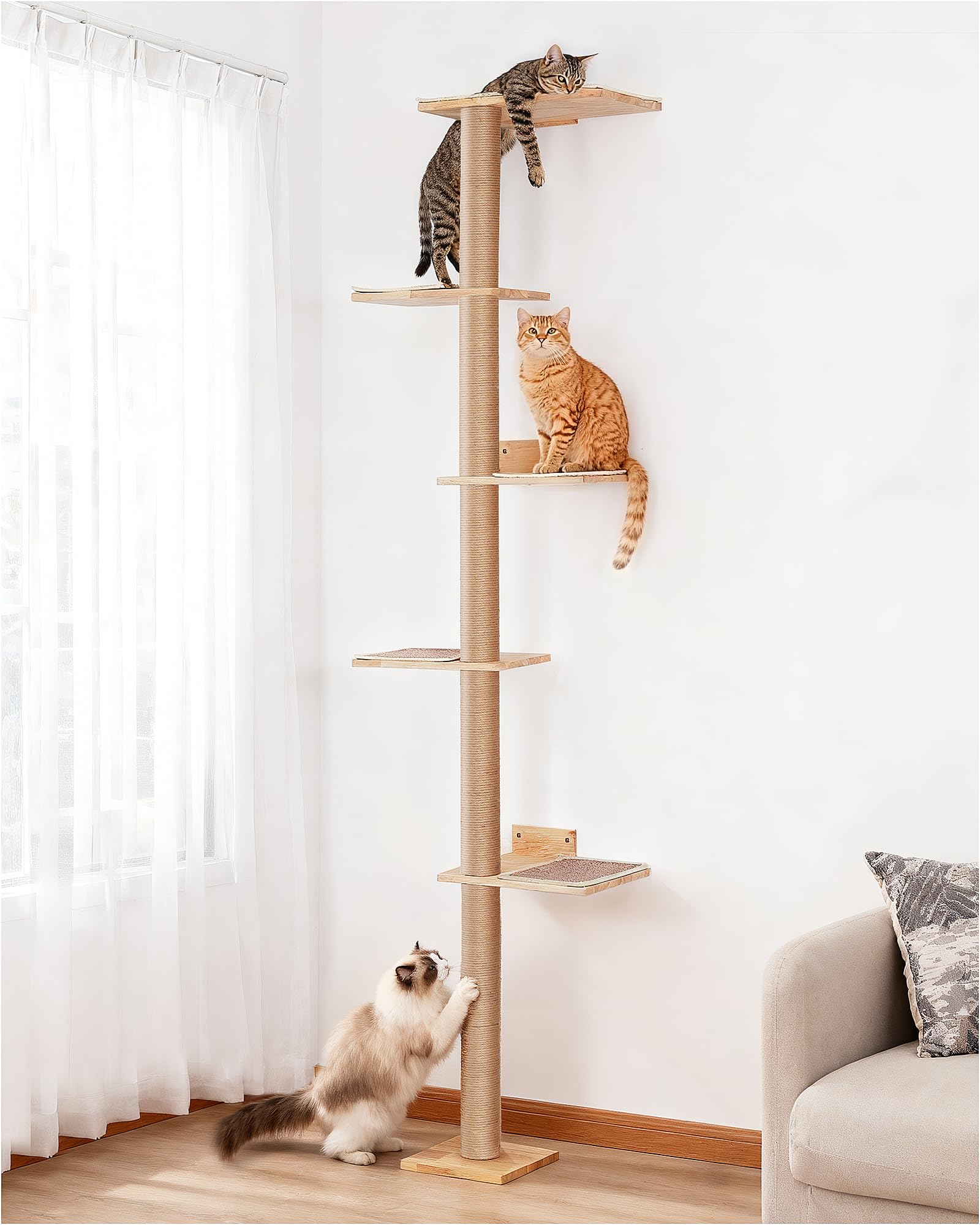 Aechonow 80-inch wall-mount cat tree top perch provides a spacious lounge for large cats.