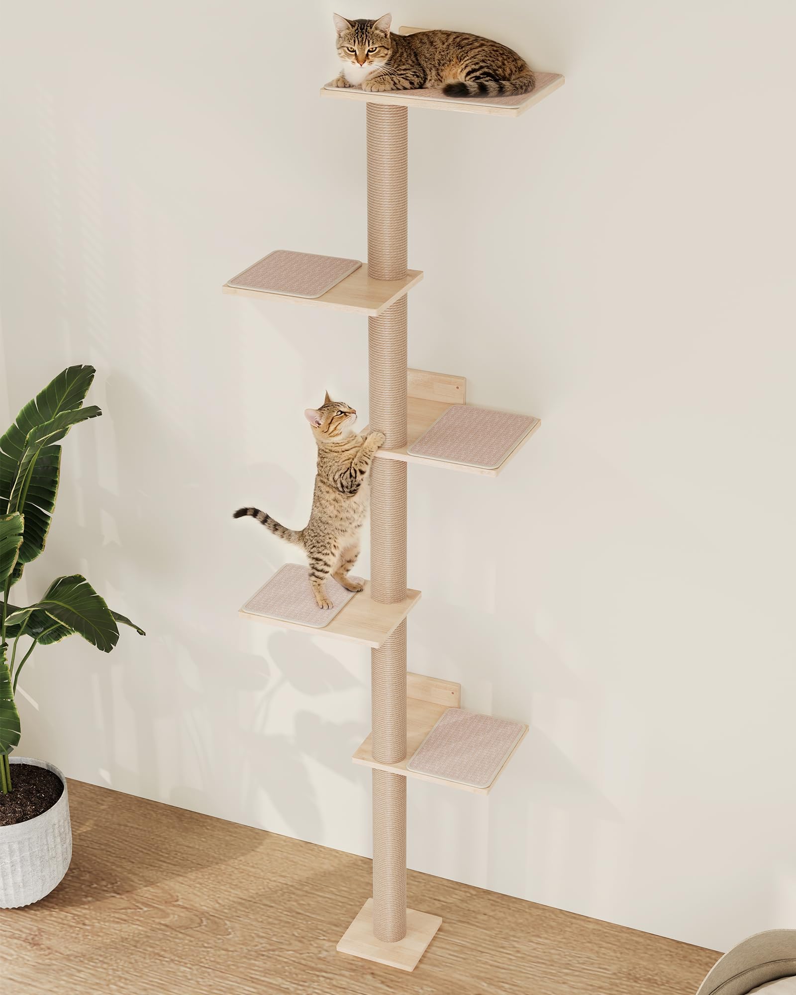 Aechonow assembly tips image shows two-person mounting guidance.