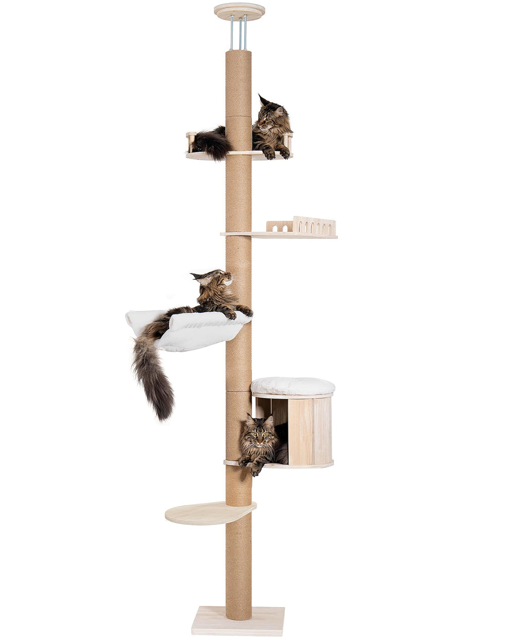 Aechonow cat-tree vertical space-saving design ideal for small apartments