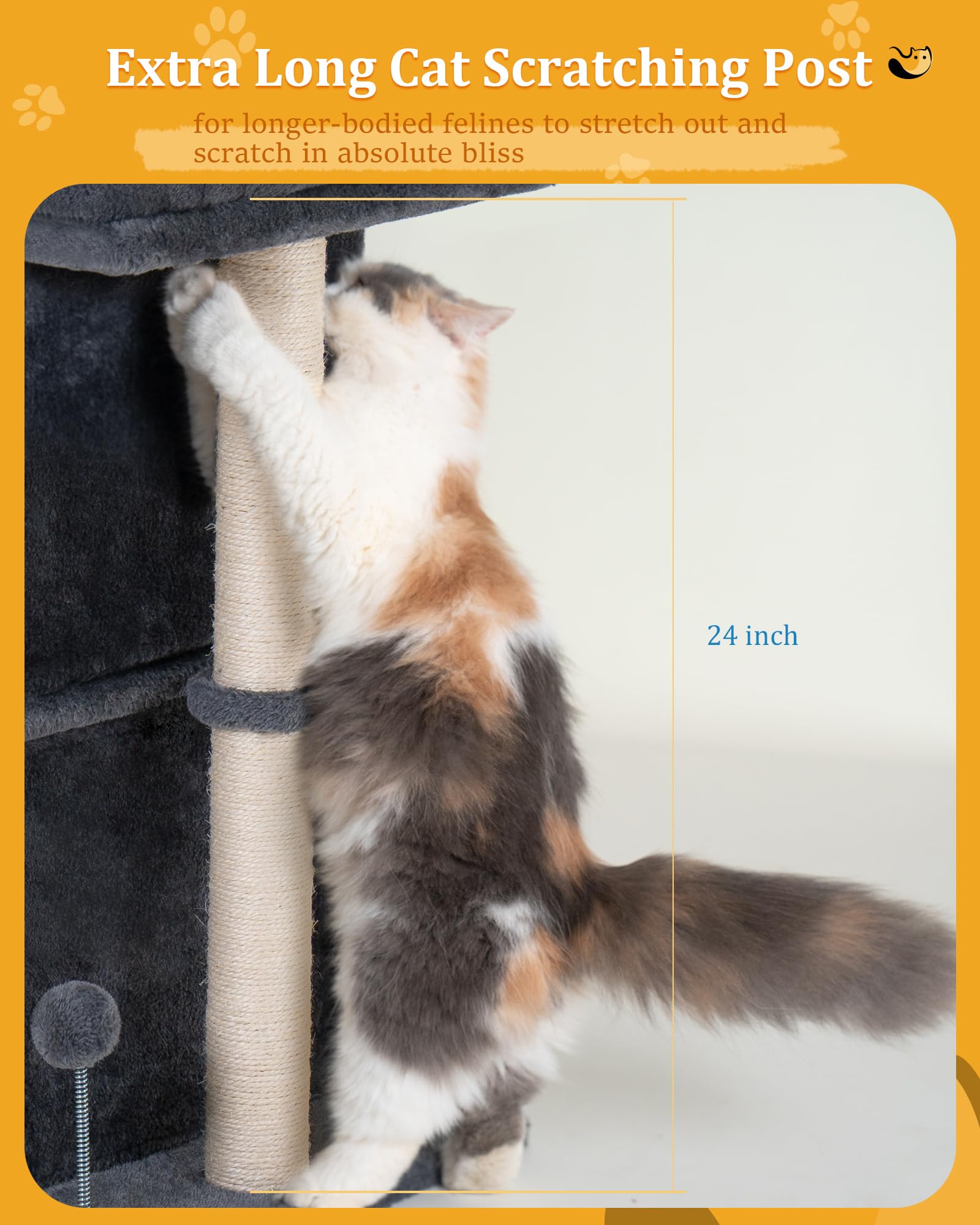 Aechonow window perch view area lets cats watch outdoors safely.