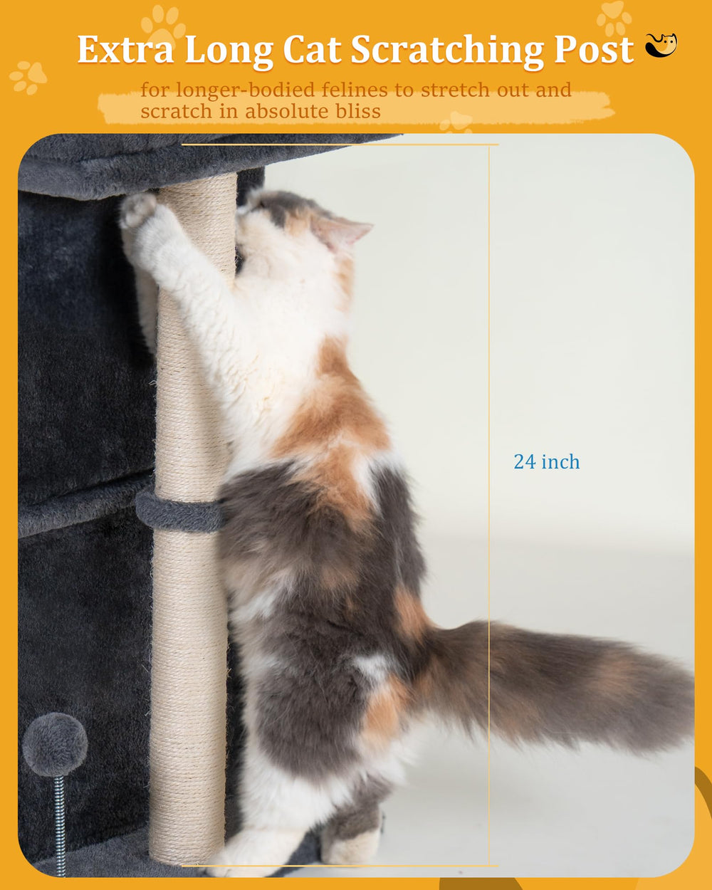 Aechonow window perch view area lets cats watch outdoors safely.