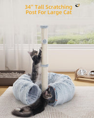 Aechonow cat tunnel interior view showcases spacious hideaway for napping and exploration.
