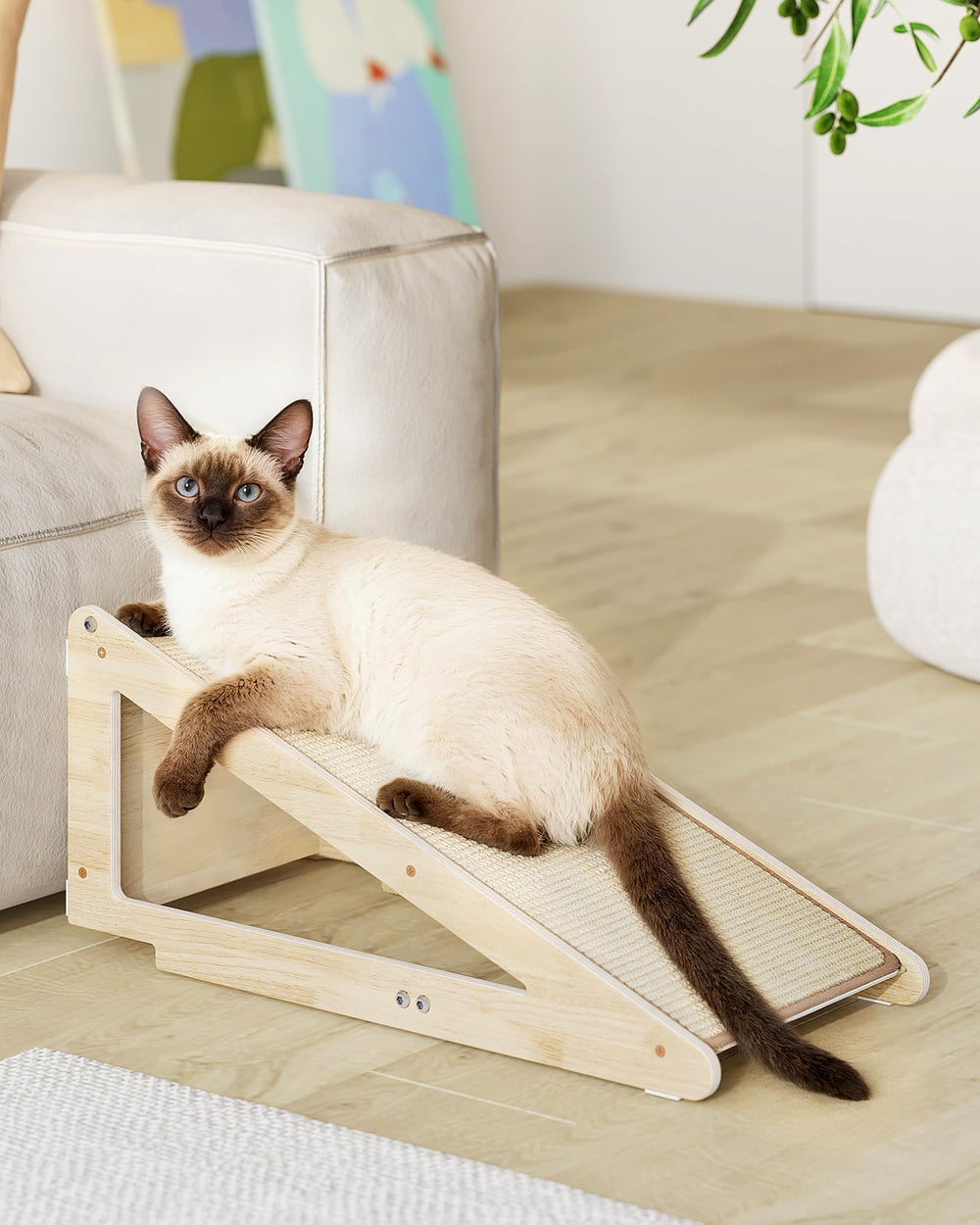 Aechonow sisal scratcher ramp setup shows versatile placement for cats