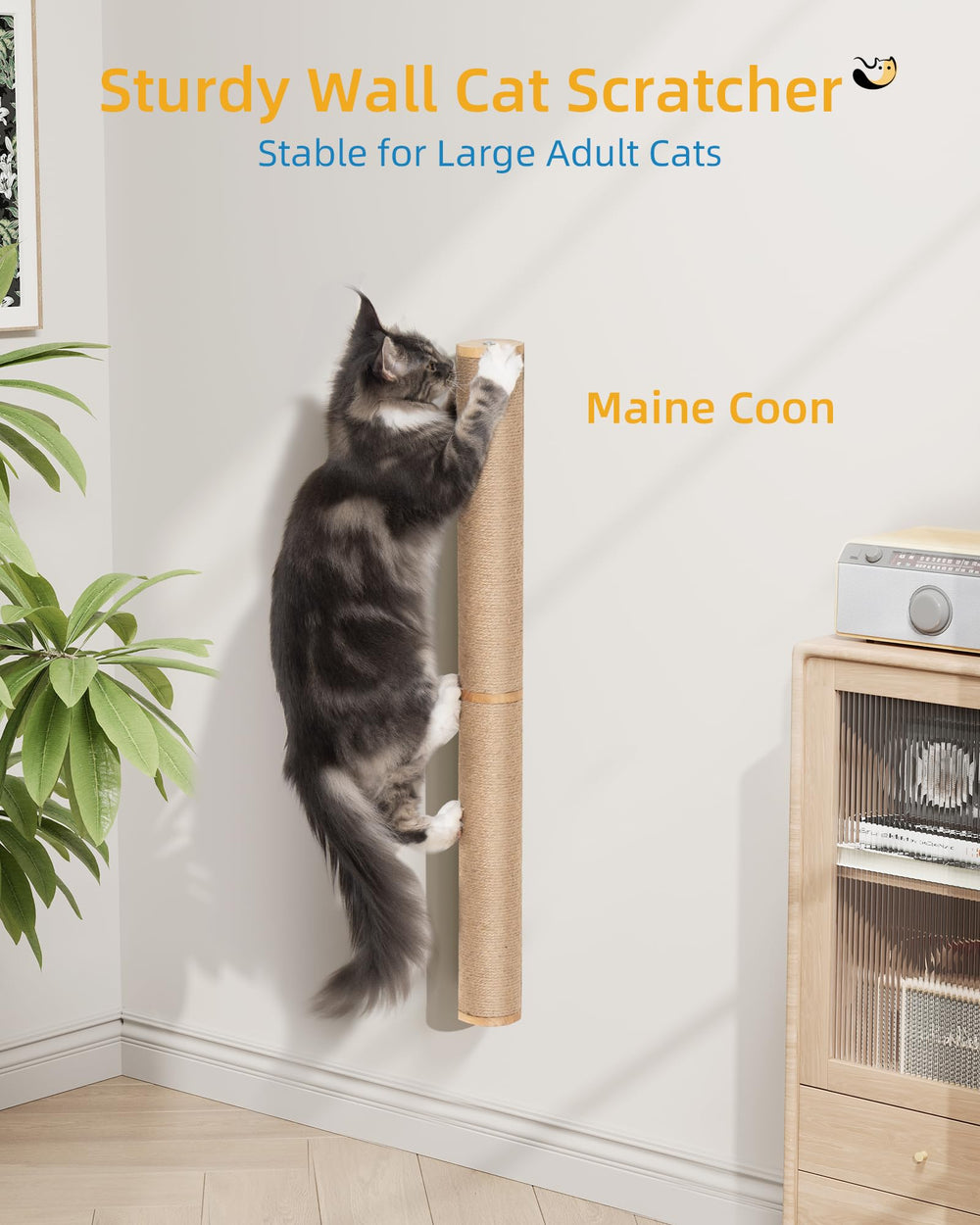 Aechonow space-saving wall scratcher fits tight corners without clutter.