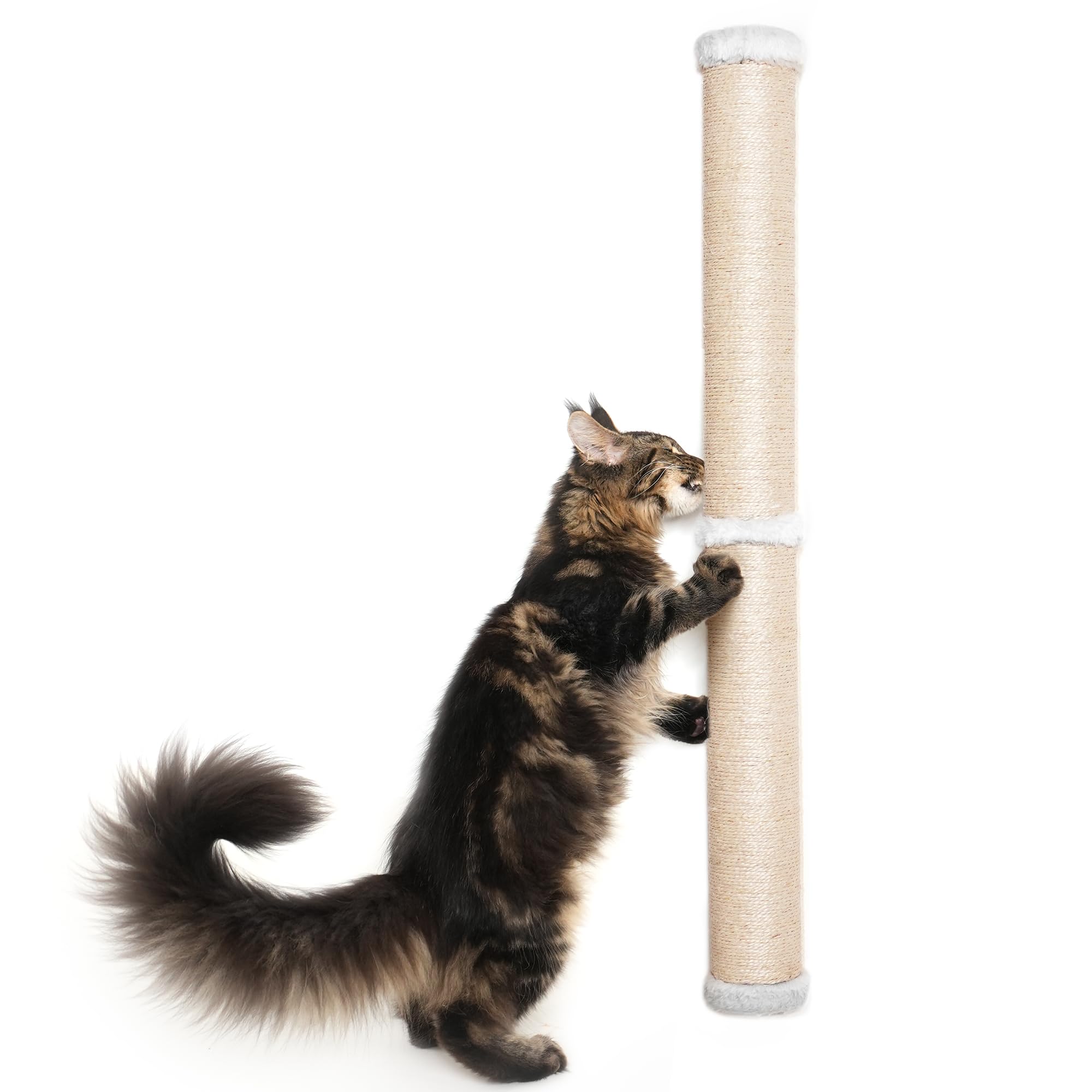 Aechonow large-cat use showing tall 34-inch post for full stretch