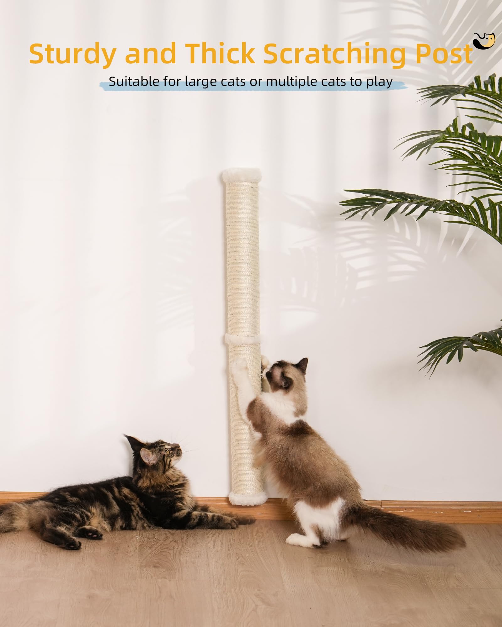 Aechonow wall scratcher rotatable surface enables fresh scratching for daily play