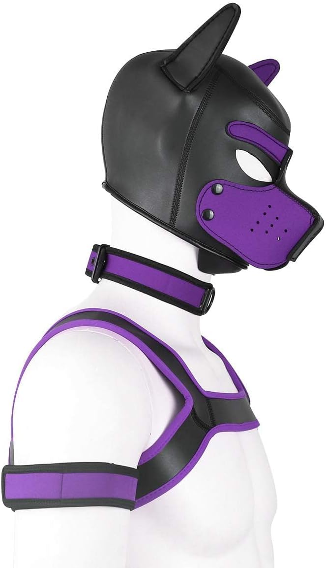 Aendu puppy hood collar harness set illustrates full character costume