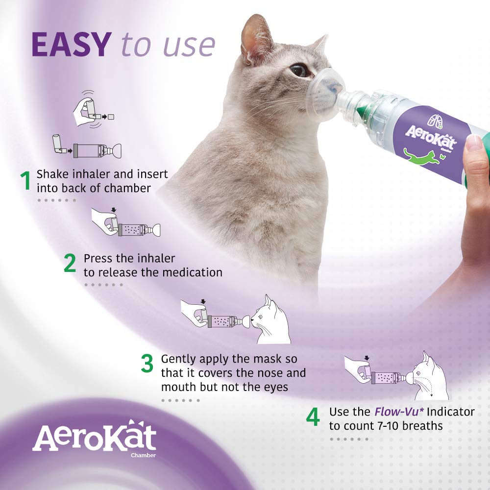 Aerokat easy-usage-illustration shows calm pet during treatment.