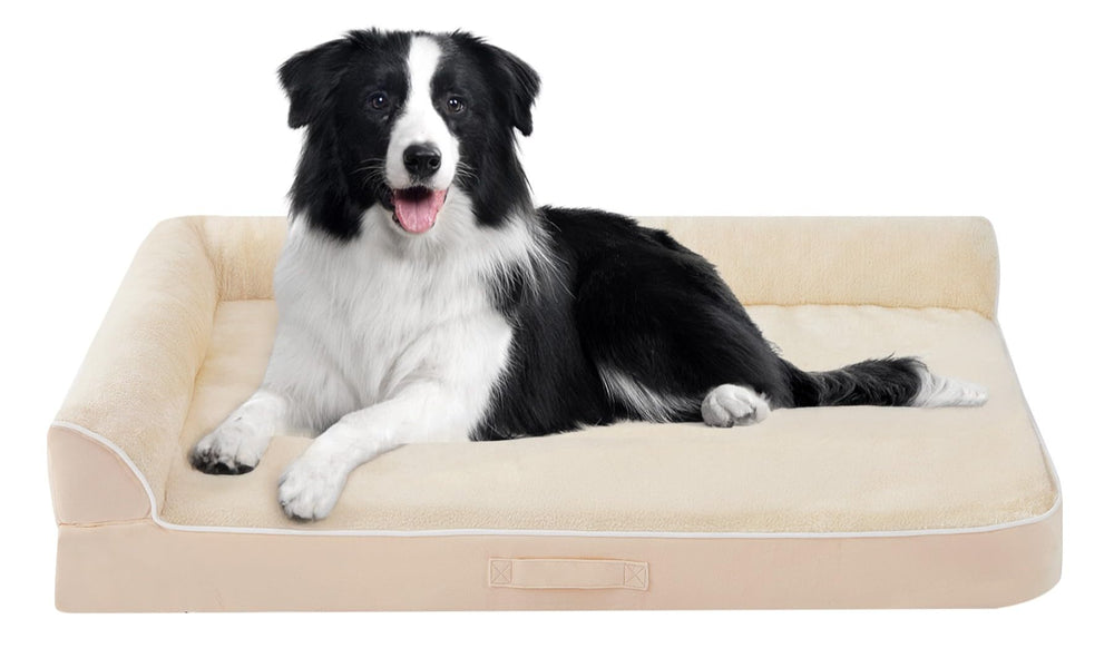 Aeroluxe bed fits neatly in crates, corners, or beside couches.