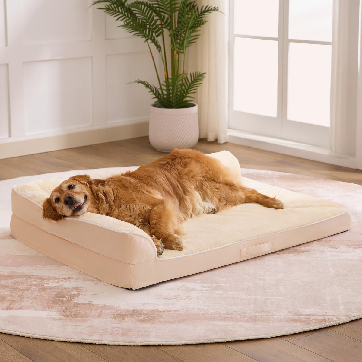 Aeroluxe orthopedic dog bed 36x27 in beige offers a cozy retreat for medium-to-large dogs.