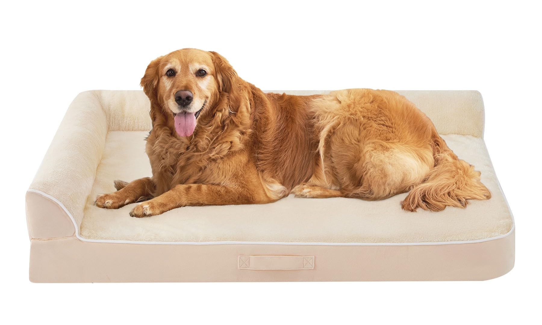 Aeroluxe dog bed with a relaxed dog illustrates roomy resting area.