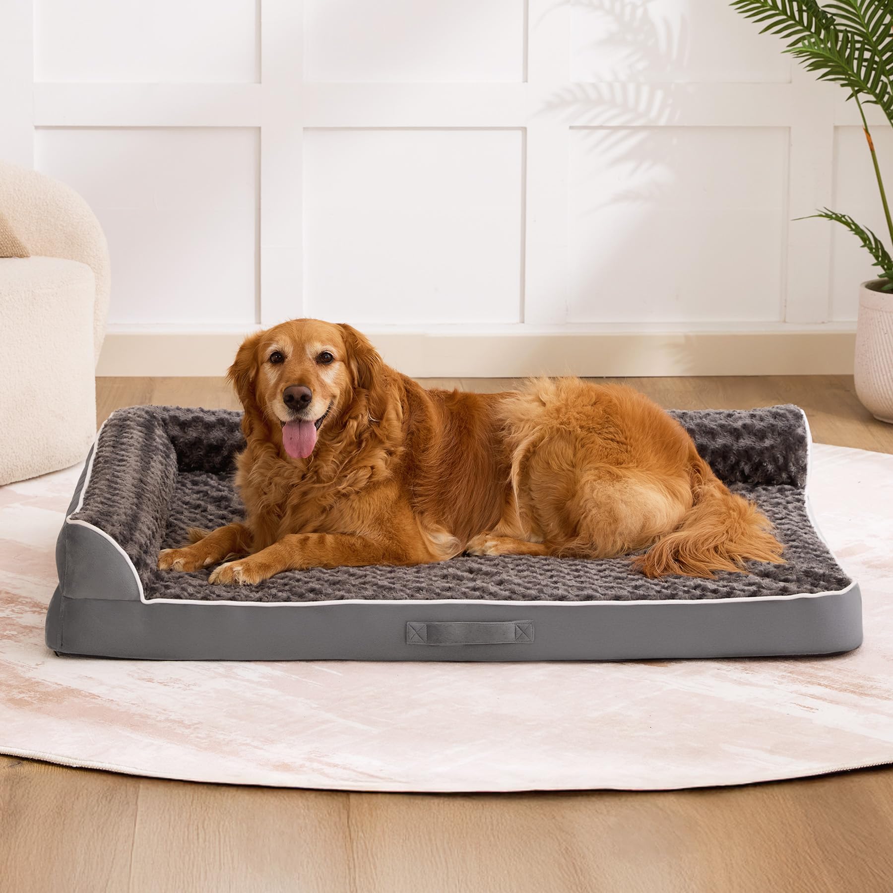 Aeroluxe dog bed-easy-clean-mess-free-use supports everyday dog comfort