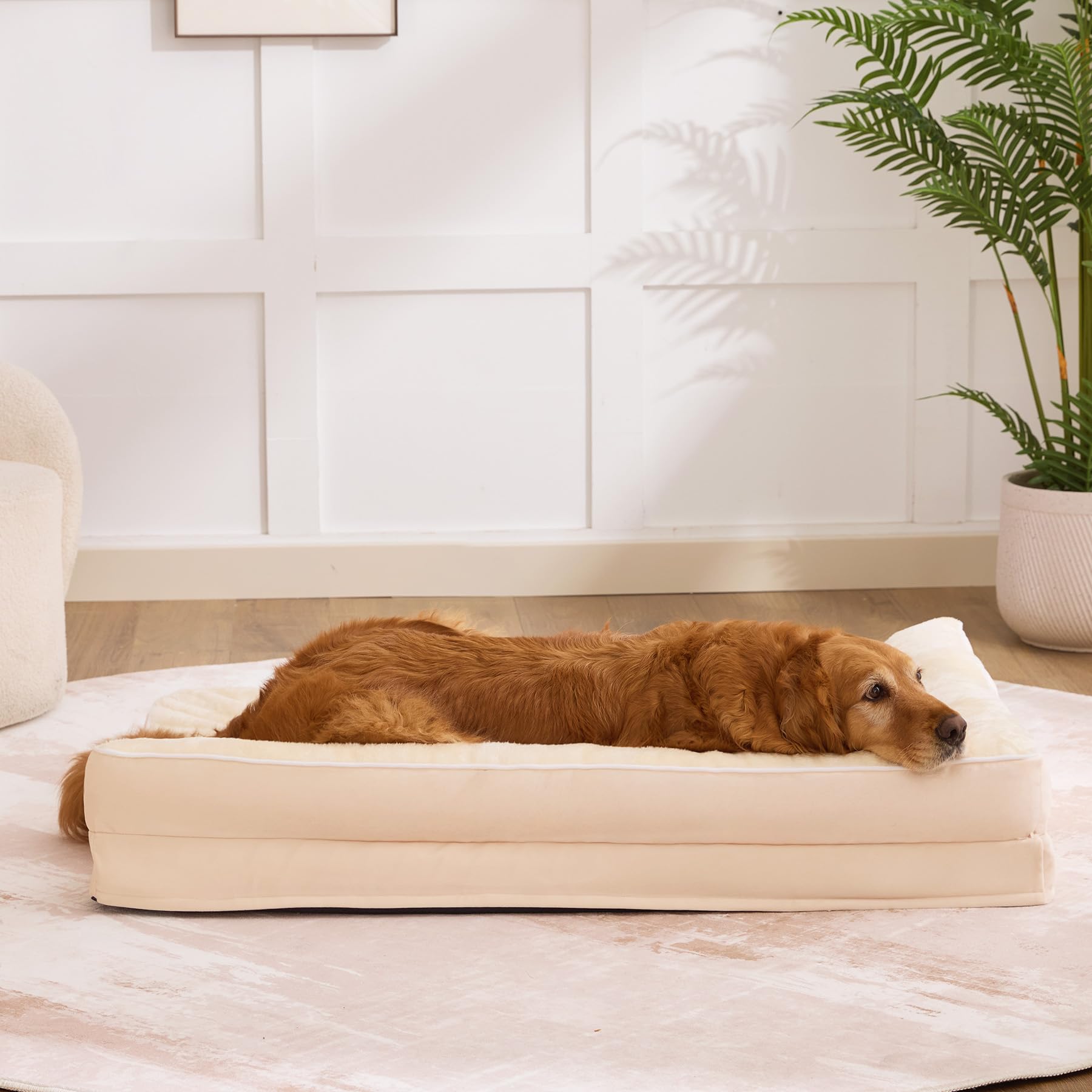 Aeroluxe bed's portable handle makes moving it simple.