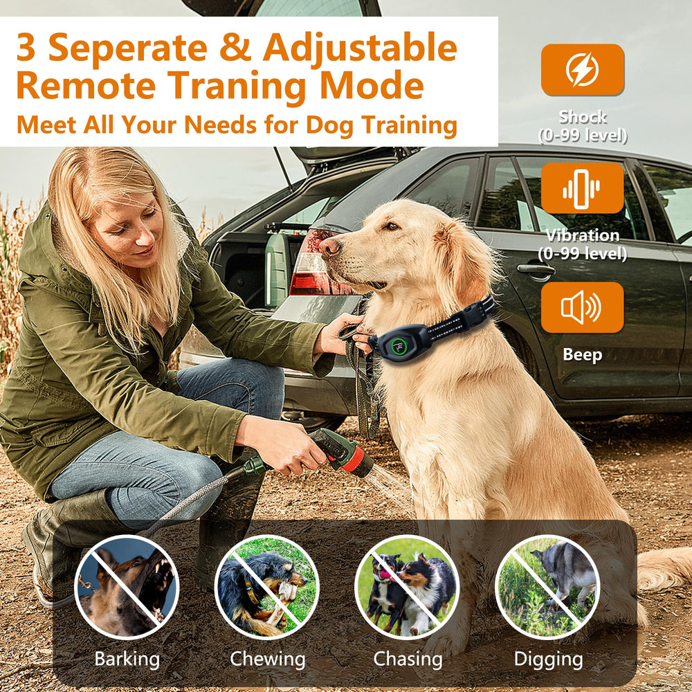 Aertyole dual-dog training setup shows two collars used for multi-dog households.