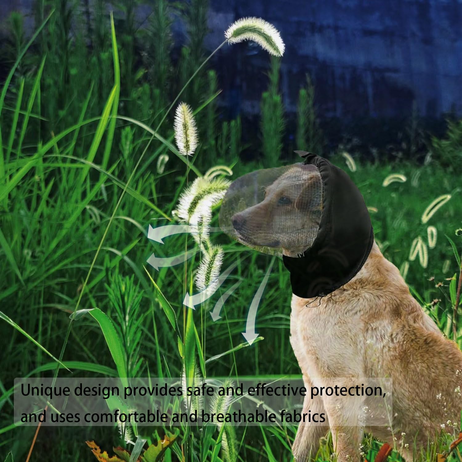 Aetherix Field Guard for Dogs eye protection against trail debris.