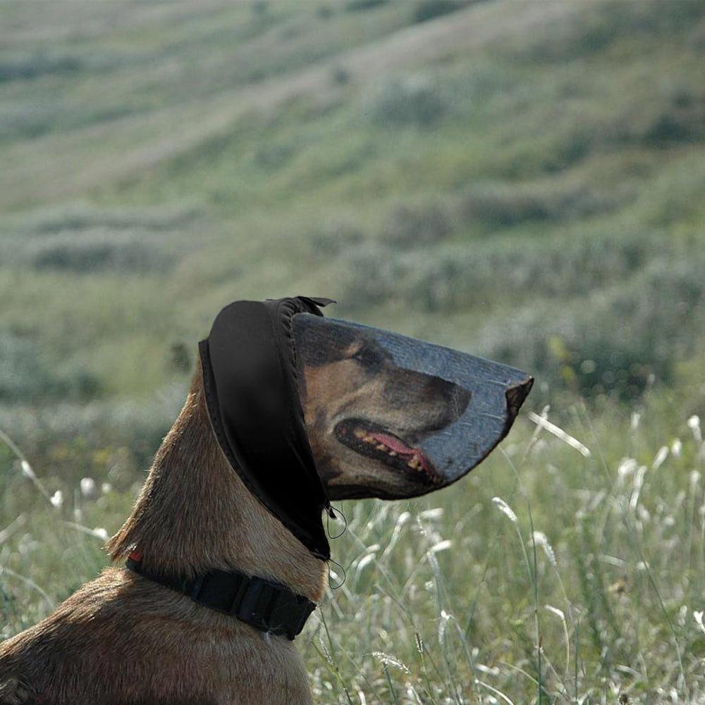 Aetherix Field Guard for Dogs keeps insects like mosquitoes at bay during hikes.
