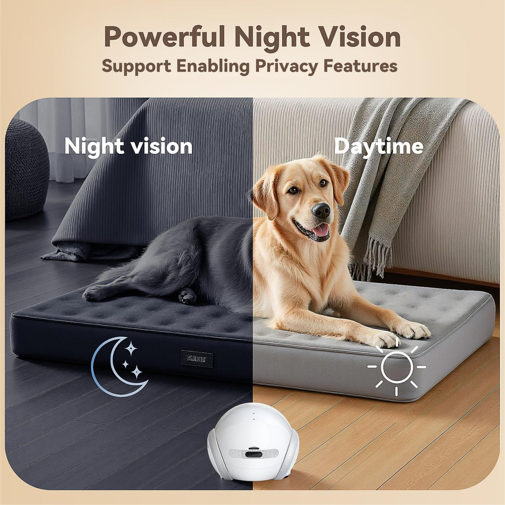 AEZ Robot Camera cloud and SD storage offer flexible recording options.
