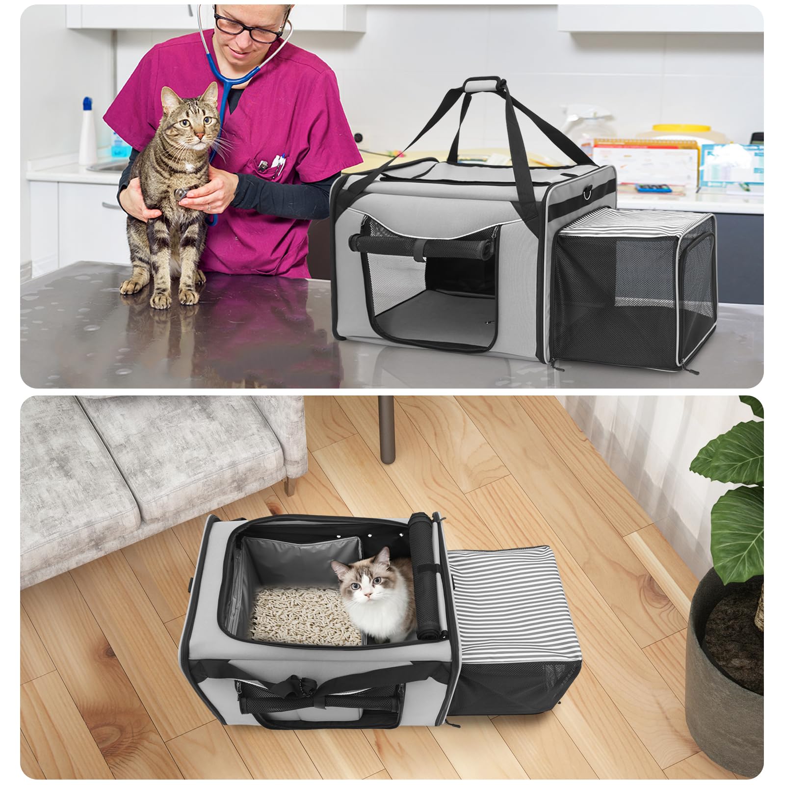 A.FATI extra-large carrier with cushioned interior offers roomy comfort for cats.